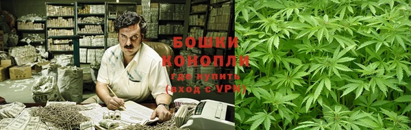 трава Алзамай
